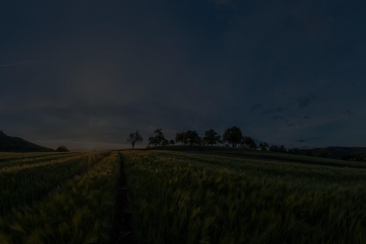 landwirtschaft innovativ derossi
