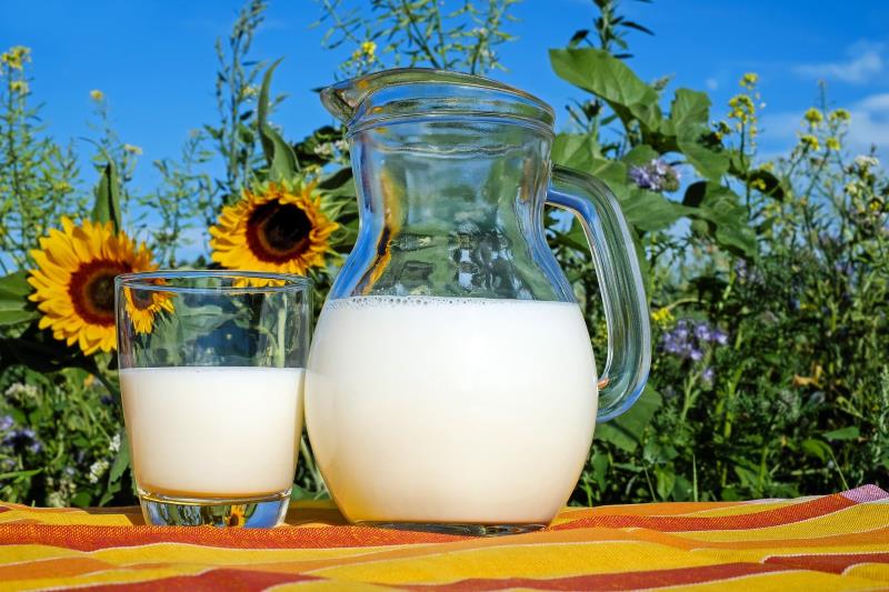 landwirtschaft milch derossi
